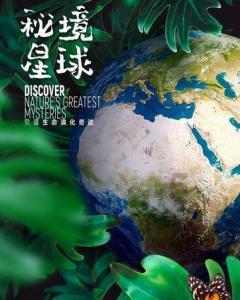 我是孙二谋