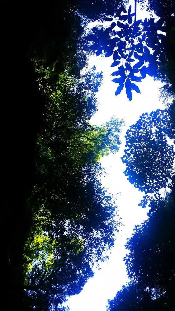 3D冰球对抗赛