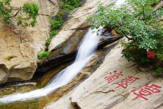 翻转吧，苹果虫
